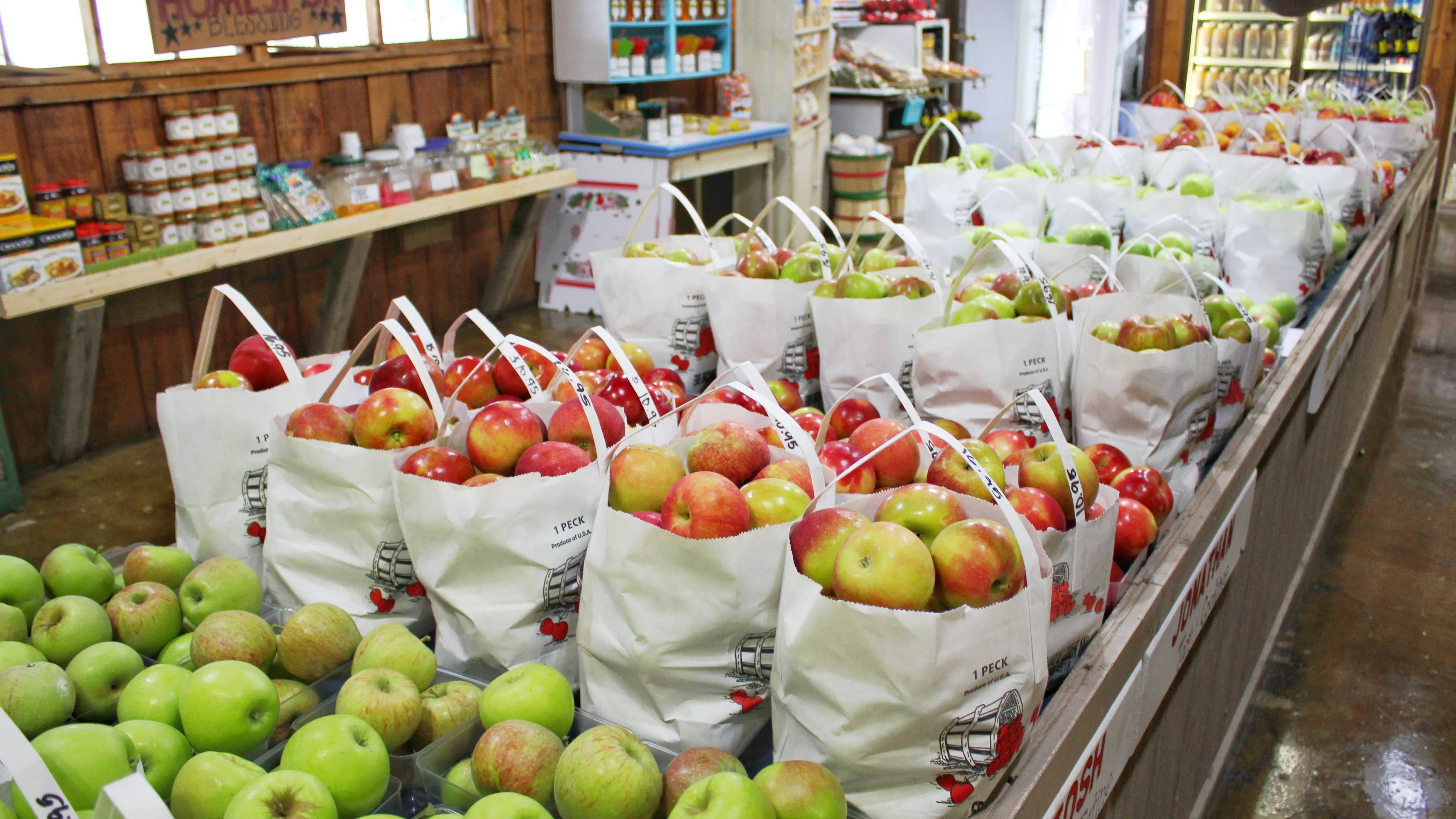 Convenience shops at Tara Devi's Enclave Commercial